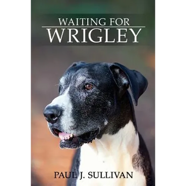 Waiting For Wrigley
