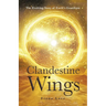 Clandestine Wings: The Evolving Story of Earth's Guardians