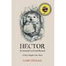 Hector At Ground Level and Beyond: A Very Simple Love Story