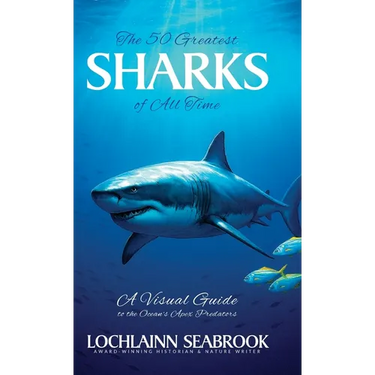 The 50 Greatest Sharks of All Time: A Visual Guide to the Ocean's Apex Predators