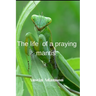 Тhe life of a praying mantis