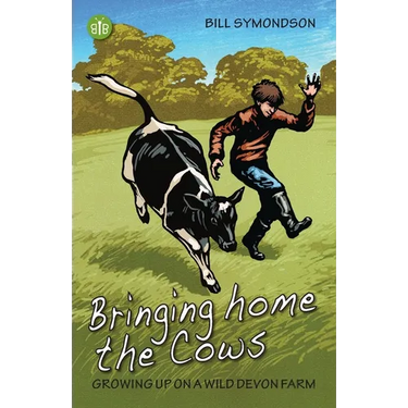 Bringing Home the Cows