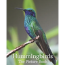 Hummingbirds: The Picture Book of Hummingbirds Great Gift for Parkinson's Alzheimer's & Seniors with Dementia.