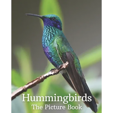 Hummingbirds: The Picture Book of Hummingbirds Great Gift for Parkinson's Alzheimer's & Seniors with Dementia.