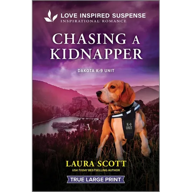 Chasing a Kidnapper
