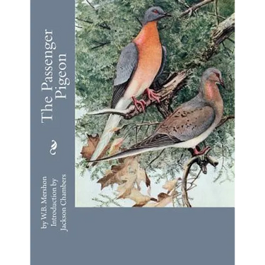 The Passenger Pigeon