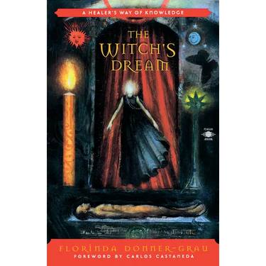 The Witch's Dream: A Healer's Way of Knowledge