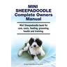 Mini Sheepadoodle Complete Owners Manual. Mini Sheepadoodle book for care, costs, feeding, grooming, health and training.