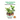 Indoor Gardening for Beginners - Creating Your First Garden Indoors
