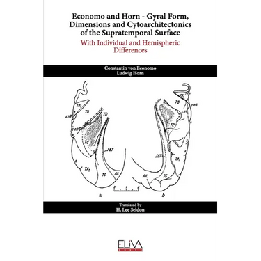 Economo and Horn - Gyral Form, Dimensions and Cytoarchitectonics of the Supratemporal Surface