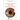 A Practical Guide for Aspiring Ophthalmologists