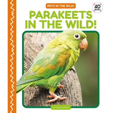 Parakeets in the Wild!