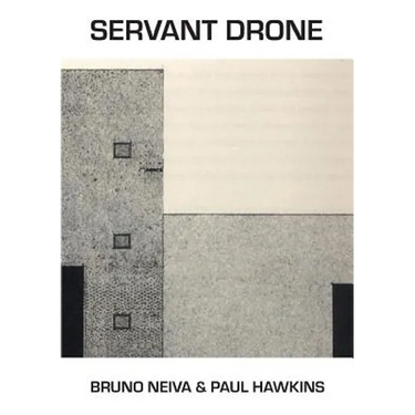 Servant Drone