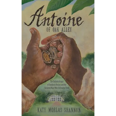 Antoine of Oak Alley: The Unlikely Origin of Southern Pecans and the Enslaved Man Who Cultivated Them