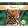 Ocelot