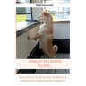Finally relaxing alone...: The step-by-step guide to reduce your Dog's separation anxiety