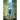 Forgotten City