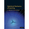 Statistical Mechanics of Learning