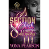 A Section 8 Chick & A Philly Millionaire 3: An African American Romance