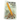 The Walking Popsicle Stick: and Other Nature Stories