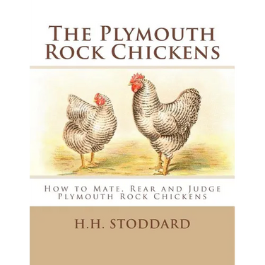 The Plymouth Rock Chickens: How to Mate, Rear and Judge Plymouth Rock Chickens
