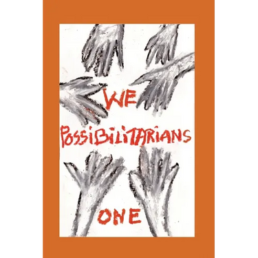 We Possibilitarians One