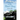 Summer of the Black Chevy