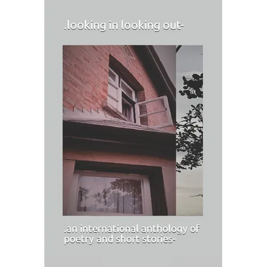 .looking In looking out-
