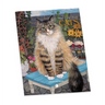 Mimi Vang Olsen Cats Color Bk