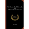 The Meadow-Brook Girls in the Hills: Or, The Missing Pilot of the White Mountains