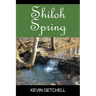Shiloh Spring