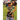 An Anishinaabe Native American Pow wow: Nuluti Equani Ehi Tribe Festival