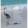 Heronymus Heron Discovers His Shadow (and a Whole Lot More)