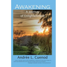 Awakening, a journey of enlightenment