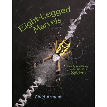 Eight-Legged Marvels: Beauty and Design in the World of Spiders