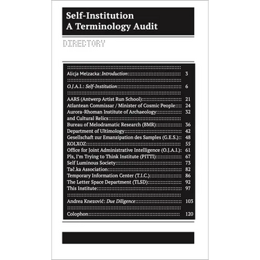 Self-Institution: Terminology Audit