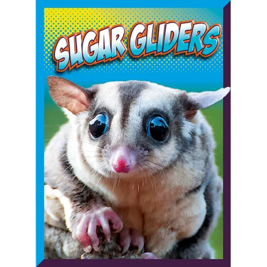 Sugar Gliders