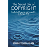 The Secret Life of Copyright: Intellectual Property and Inequality in the Age of AI