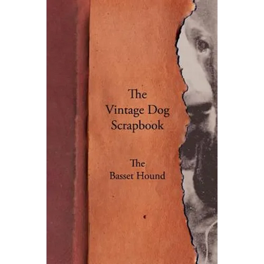 The Vintage Dog Scrapbook - The Basset Hound