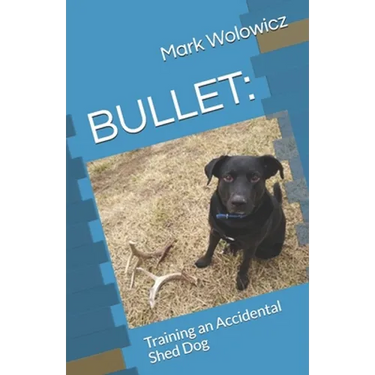 Bullet: Training an Accidental Shed Dog