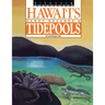 Discover Hawaii's Sandy Beaches and Tidepools