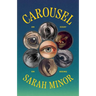 Carousel: An Essay on Seeing