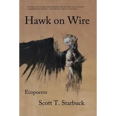 Hawk on Wire: Ecopoems