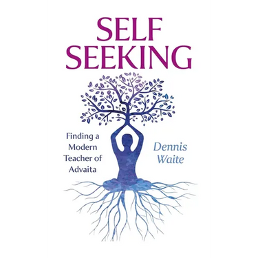 Self Seeking: Finding a Modern Teacher of Advaita