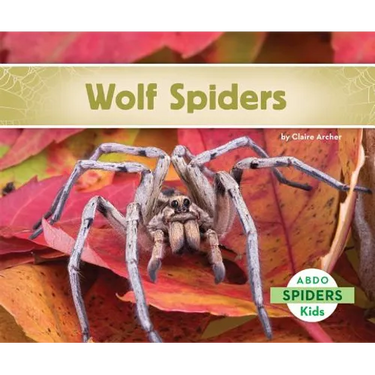 Wolf Spiders