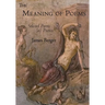 The Meaning of Poems: Selected Poems (as) Poetics
