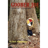 Goober Joe: Coming of Age a Civil War Novel
