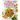 College Vegetarian Cookbook: Quick Plant-Based Recipes Every College Student Will Love. Delicious and Healthy Meals for Busy People on a Budget (Ve