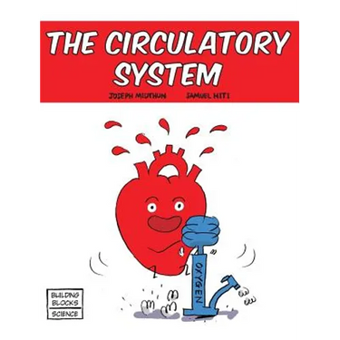 The Circulatory System