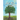 Just Be A Tree